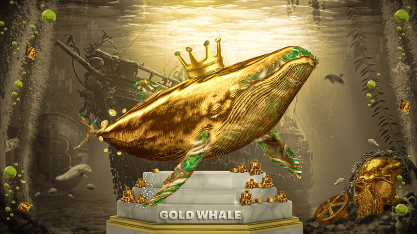 Gold Whale, Live Contest – ForexChief