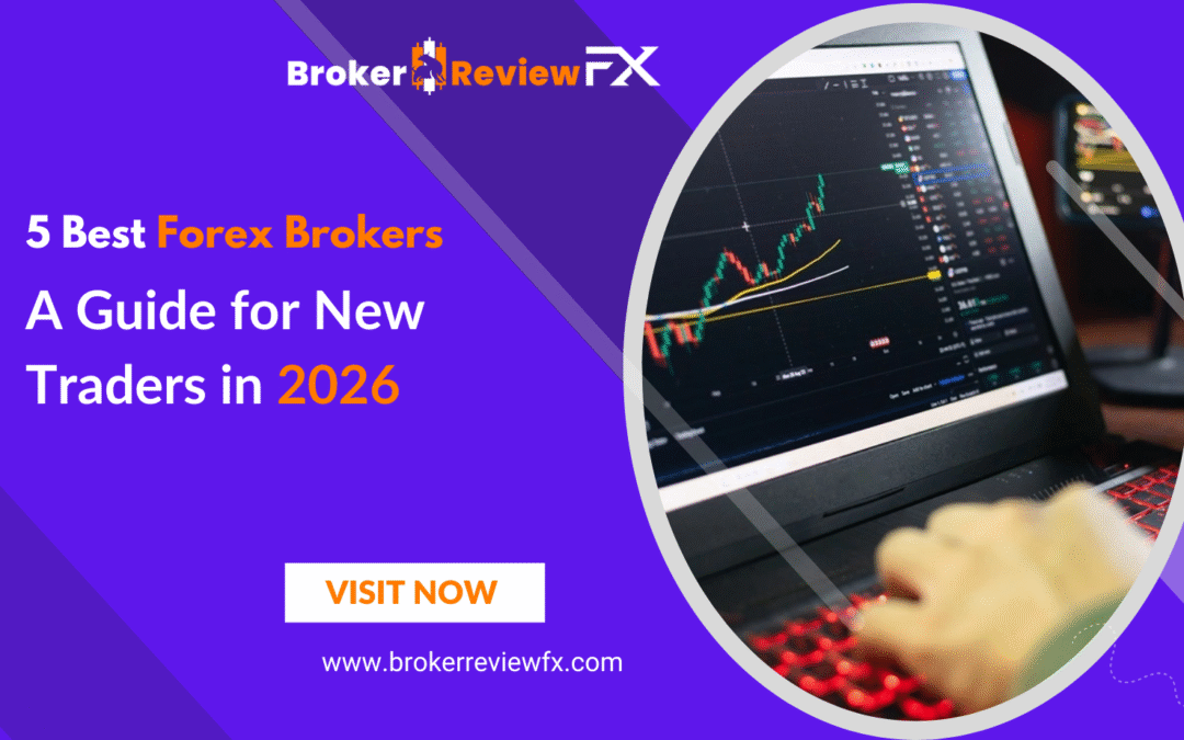 5 Best Forex Brokers: A Guide for New Traders in 2026