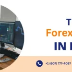 Top 5 Forex Brokers in India